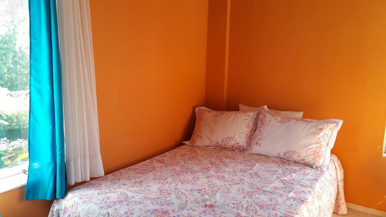 Banana Leaf Eco Hostel Rio de Janeiro Eksteriør billede